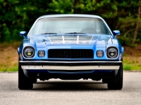1974 Chevrolet Camaro for sale in Michigan (ID-164601)