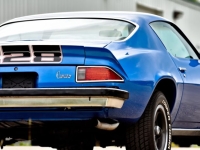 1974 Chevrolet Camaro for sale in Michigan (ID-164601)