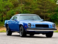 1974 Chevrolet Camaro for sale in Michigan (ID-164601)