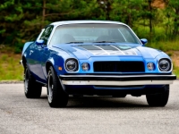 1974 Chevrolet Camaro for sale in Michigan (ID-164601)