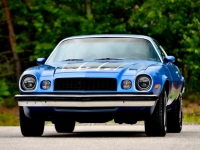1974 Chevrolet Camaro for sale in Michigan (ID-164601)