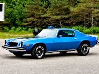 1974 Chevrolet Camaro for sale in Michigan (ID-164601)