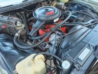 1974 Chevrolet Caprice for sale in Riverhead, New York (ID-130482)