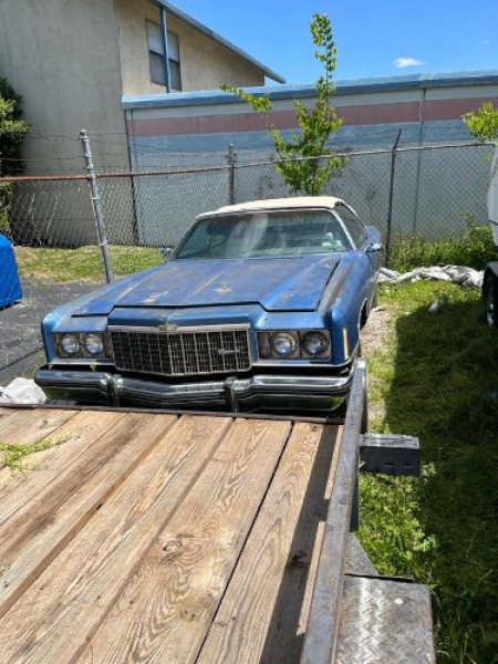 1974 Chevrolet Caprice Classic for sale in Michigan (ID-136354)