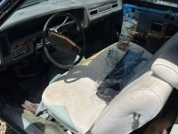 1974 Chevrolet Caprice Classic for sale in Michigan (ID-136354)