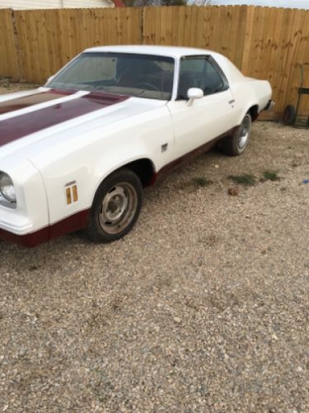 1974 Chevrolet Chevelle for sale in Michigan (ID-103551)