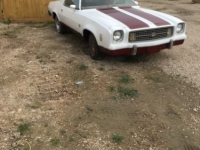 1974 Chevrolet Chevelle for sale in Michigan (ID-103551)