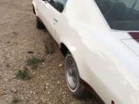 1974 Chevrolet Chevelle for sale in Michigan (ID-103551)