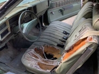 1974 Chevrolet Chevelle for sale in Michigan (ID-115155)