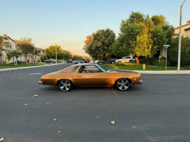 1974 Chevrolet Chevelle for sale in Michigan (ID-144832)