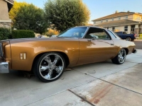 1974 Chevrolet Chevelle for sale in Michigan (ID-144832)