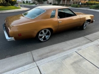 1974 Chevrolet Chevelle for sale in Michigan (ID-144832)