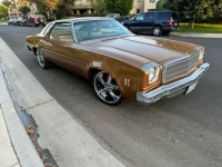 1974 Chevrolet Chevelle for sale in Michigan (ID-144832)
