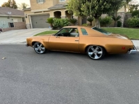 1974 Chevrolet Chevelle for sale in Michigan (ID-144832)
