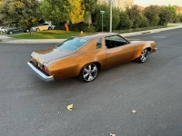 1974 Chevrolet Chevelle for sale in Michigan (ID-144832)