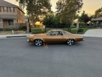 1974 Chevrolet Chevelle for sale in Michigan (ID-144832)