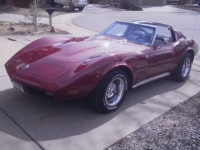 1974 Chevrolet Corvette for sale in Michigan (ID-97568)