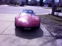 1974 Chevrolet Corvette for sale in Michigan (ID-97568)