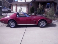 1974 Chevrolet Corvette for sale in Michigan (ID-97568)