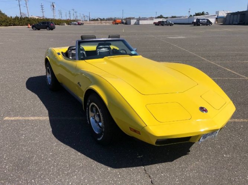 1974 Chevrolet Corvette for sale in Michigan (ID-102955)