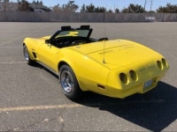 1974 Chevrolet Corvette for sale in Michigan (ID-102955)
