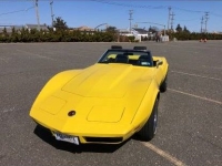 1974 Chevrolet Corvette for sale in Michigan (ID-102955)