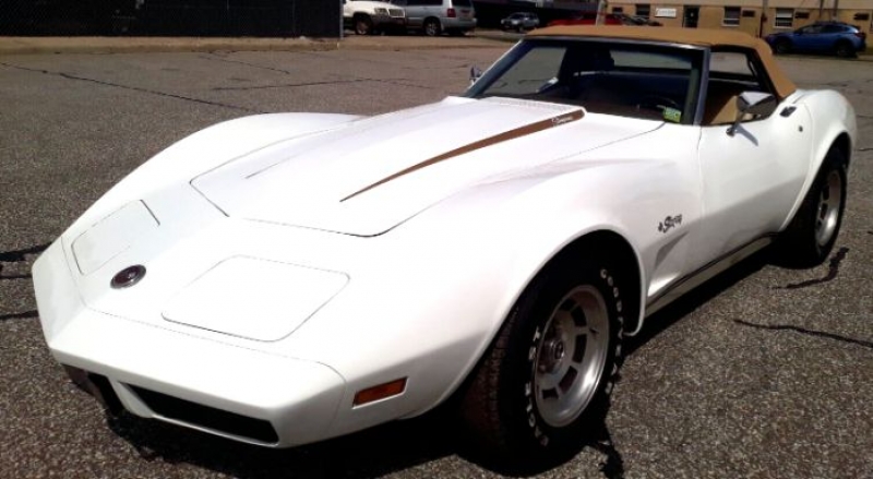 1974 Chevrolet Corvette for sale in Michigan (ID-108791)