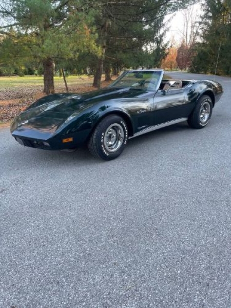 1974 Chevrolet Corvette for sale in Michigan (ID-116010)