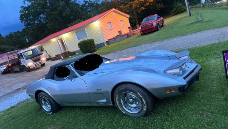 1974 Chevrolet Corvette for sale in Michigan (ID-117943)