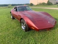 1974 Chevrolet Corvette for sale in Michigan (ID-118656)
