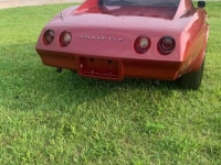 1974 Chevrolet Corvette for sale in Michigan (ID-118656)