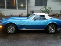 1974 Chevrolet Corvette for sale in Michigan (ID-119501)