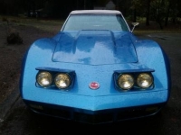 1974 Chevrolet Corvette for sale in Michigan (ID-119501)