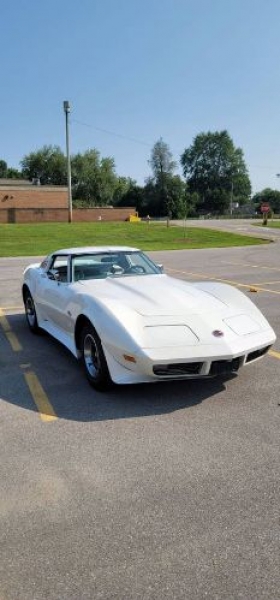1974 Chevrolet Corvette for sale in Michigan (ID-120141) 1974 Chevrolet Corvette for sale in Michigan (ID-120141)