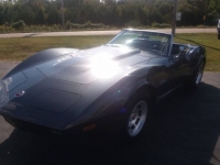 1974 Chevrolet Corvette for sale in Michigan (ID-121348)