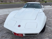 1974 Chevrolet Corvette for sale in Michigan (ID-121559)
