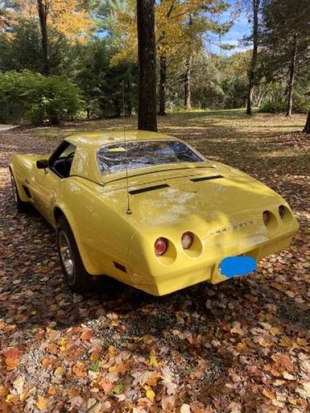 1974 Chevrolet Corvette for sale in Michigan (ID-122467)
