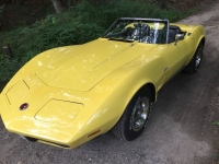 1974 Chevrolet Corvette for sale in Michigan (ID-122467)