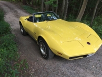 1974 Chevrolet Corvette for sale in Michigan (ID-122467)