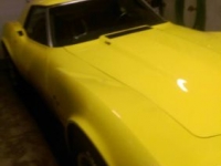 1974 Chevrolet Corvette for sale in Michigan (ID-122467)