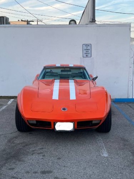 1974 Chevrolet Corvette for sale in Michigan (ID-123463)