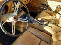 1974 Chevrolet Corvette for sale in Michigan (ID-124630)
