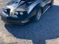 1974 Chevrolet Corvette for sale in Michigan (ID-125650)