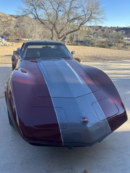 1974 Chevrolet Corvette for sale in Michigan (ID-126081) 1974 Chevrolet Corvette for sale in Michigan (ID-126081)
