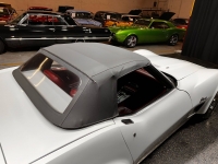 1974 Chevrolet Corvette for sale in Addison, Illinois (ID-126919)