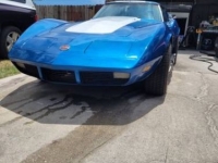 1974 Chevrolet Corvette for sale in Michigan (ID-128122)