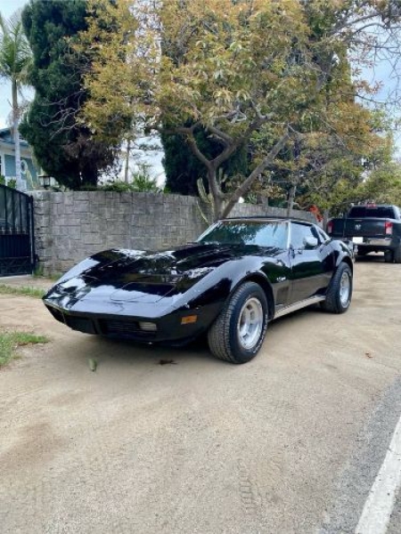 1974 Chevrolet Corvette for sale in Michigan (ID-128468)