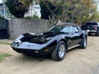 1974 Chevrolet Corvette for sale in Michigan (ID-128468)