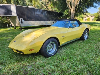 1974 Chevrolet Corvette for sale
