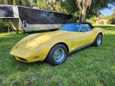 1974 Chevrolet Corvette for sale